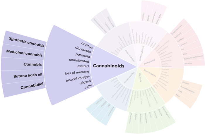 Drug_wheel_segment_-_Cannabinoids_segment2x.original.png