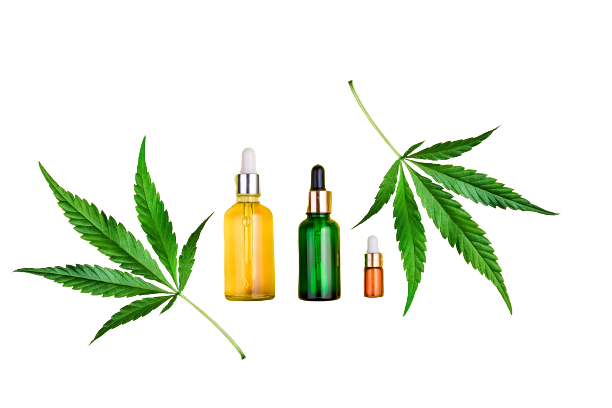 Three CBD oil containers side by side with hemp leaves over a white background