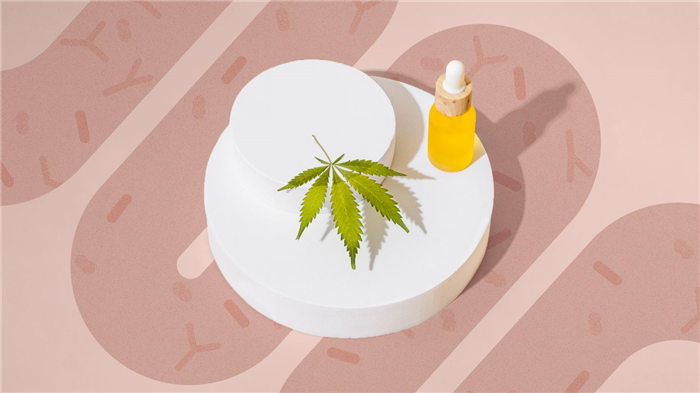 CBD Oil and Cannabis above a shadow of the Microbiome