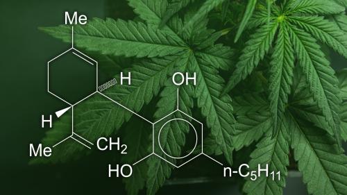 Cannabis leaves and Cannabidiol (CBD) chemical structure montage