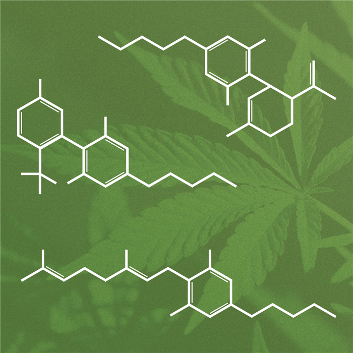 Chemical structures for structures for cannabichromene, cannabinol, and cannabigerol overlay an image of the marijuana leaf.