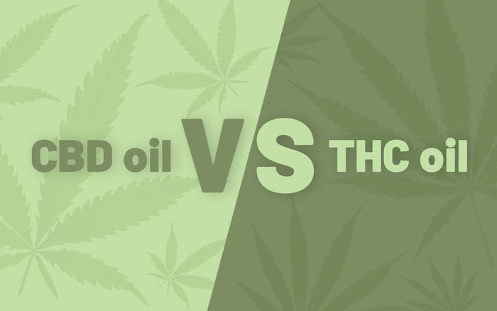CBD oil & THC oil: What’s the Difference?