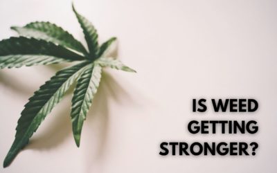 Is Marijuana Stronger Now Than Ever Before?