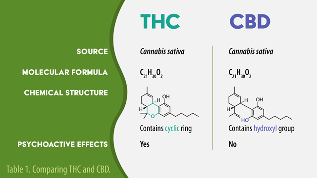 THC-CBD-comparisons