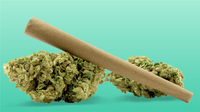 A CBD pre-roll is placed next to hemp flowers.