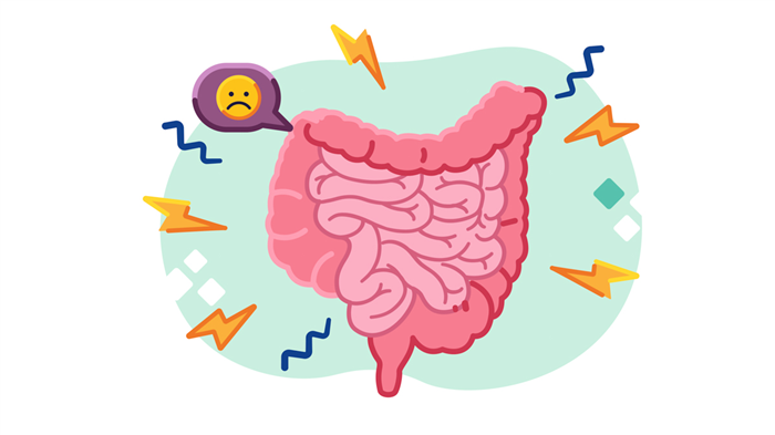 Illustration of the intestine during diarrhea