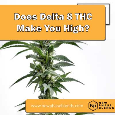 Does delta 8 THC make you high featured image