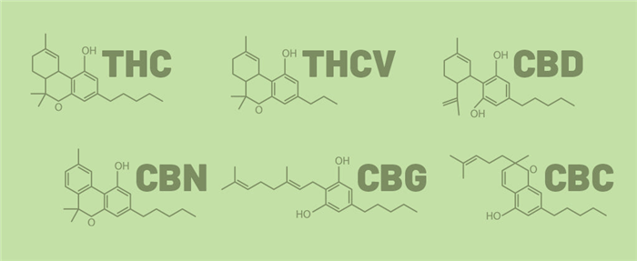 A selection of major cannabinoids including: THC, THCV, CBD, CBN and CBC